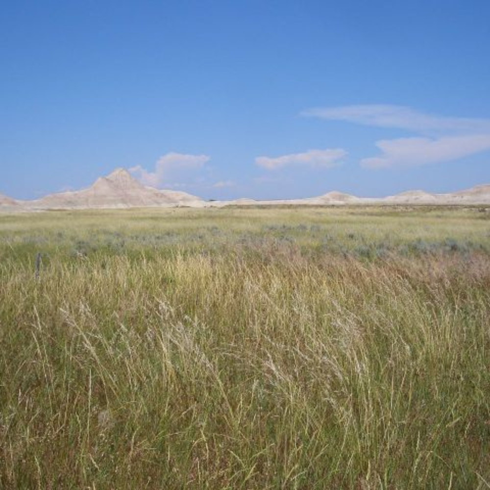 Nebraska (Fotografija: Wikipedija)