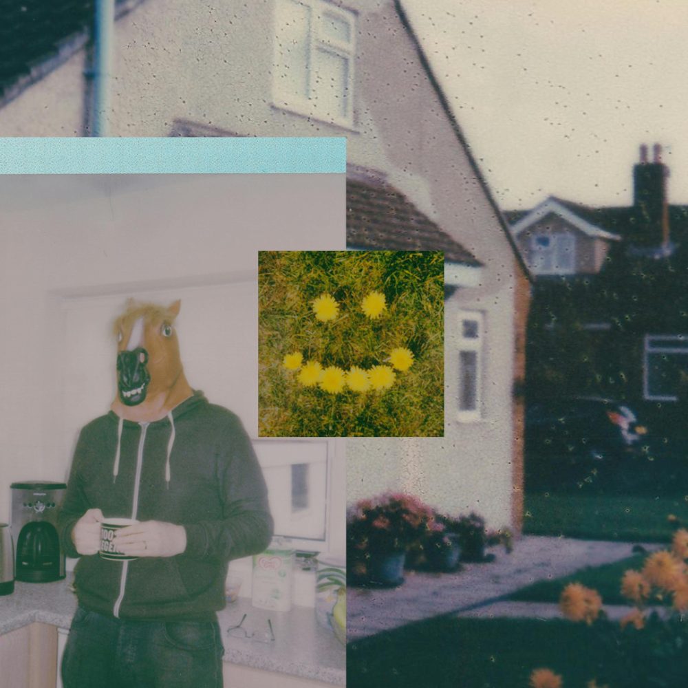 Kolaž: Hanna Juta Kozar / Foto vir: Pexels