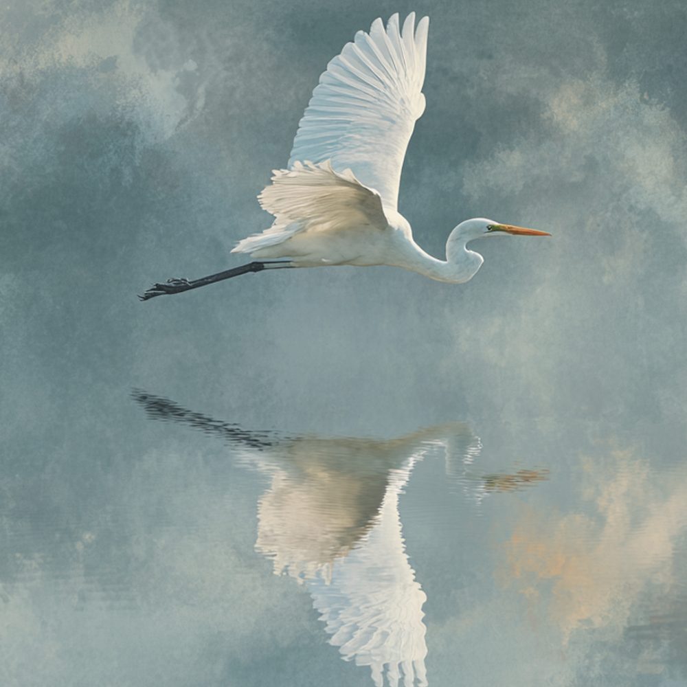 Ilustracija: Špela Jedretič / Midjourney