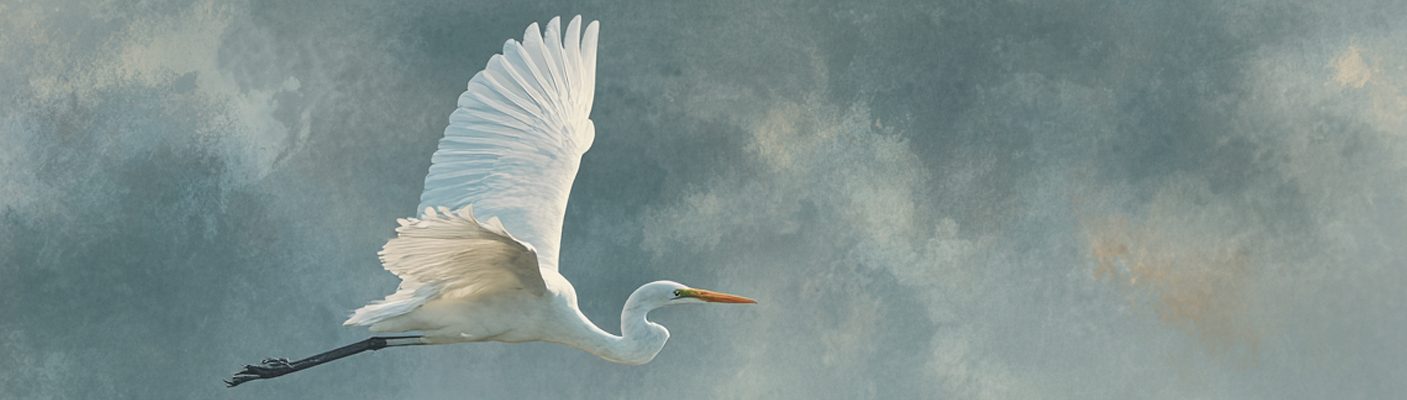 Ilustracija: Špela Jedretič / Midjourney