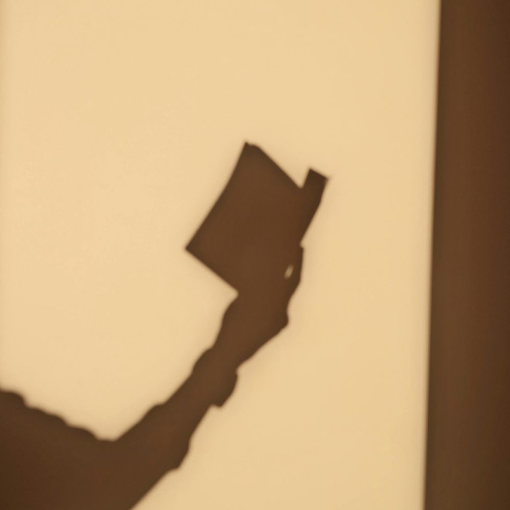 Foto:Emine Uluğ/Pexels