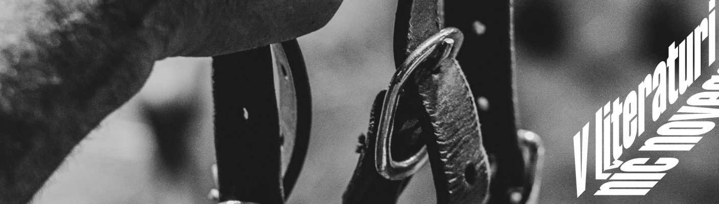 Kolaž: Hanna Juta Kozar