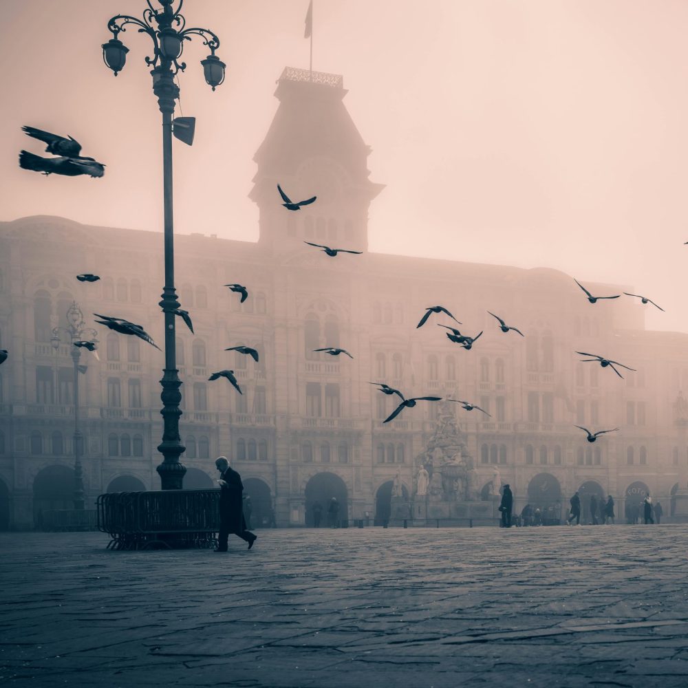 foto: Mattia Sacco / Pexels