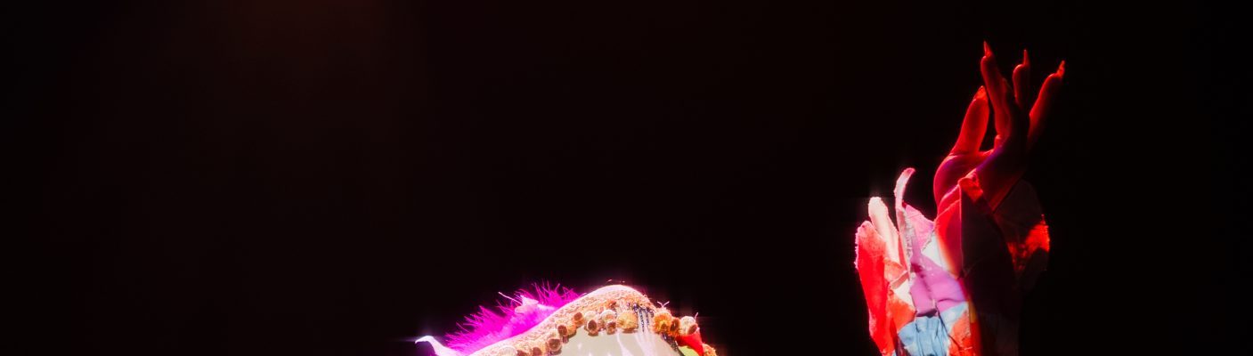 Foto: sasha Velour
