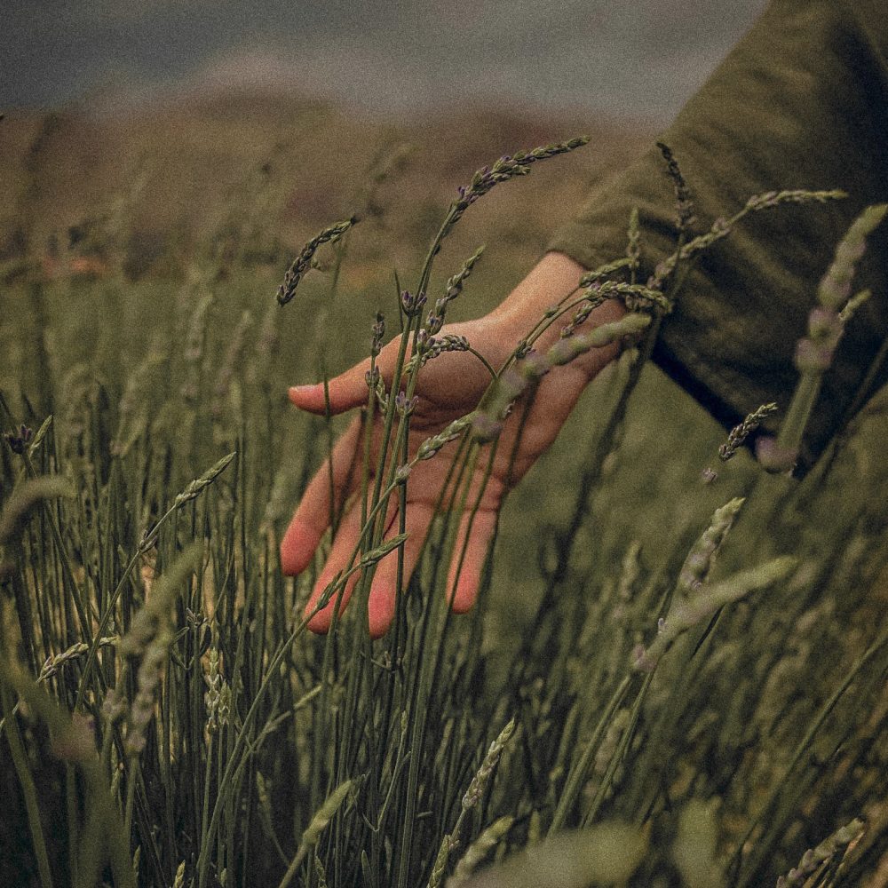 Foto: UMUT 🆁🅰🆆 (Pexels)