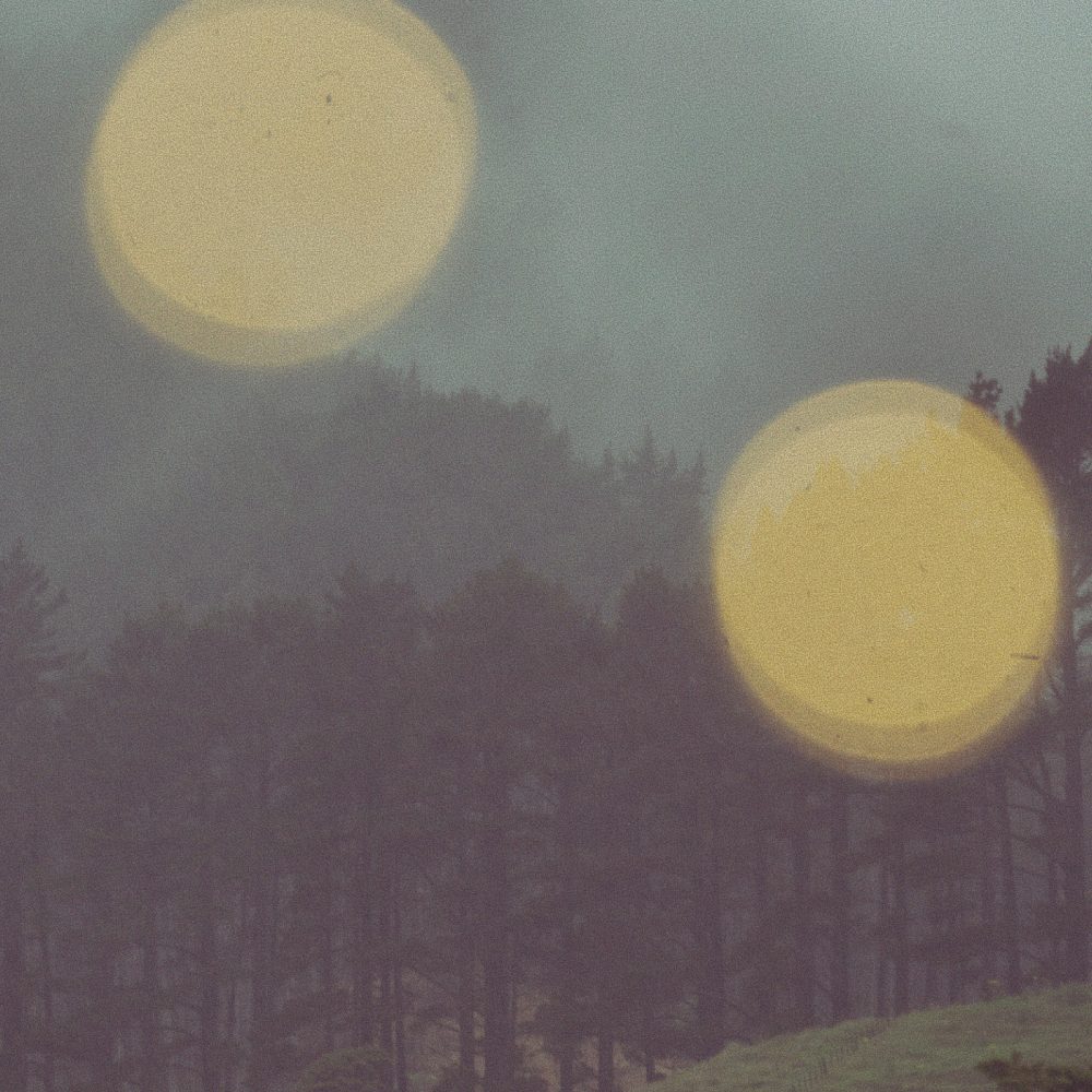 Mario Amé (Pexels)